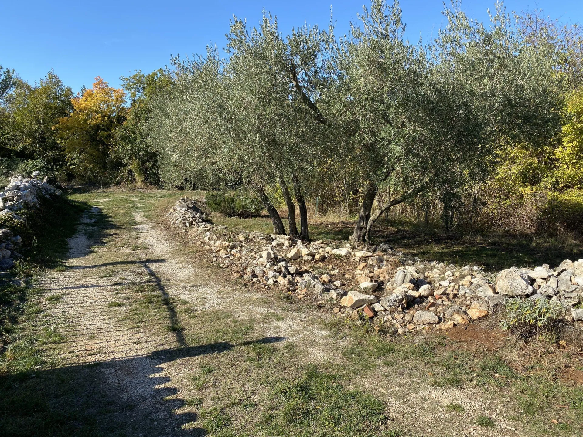 Panorama Krk